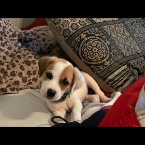 Meet your Posher, Lala